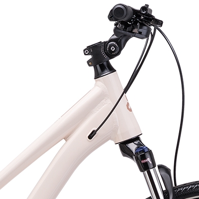 damsky-krosovy-bicykel-bora-1-0-matna-bezova-2026-d1